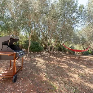 https://son-bernadi-santanyi.balearic-islands.net